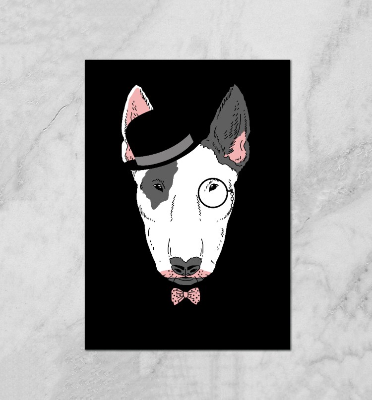 Белый бультерьер с моноклем