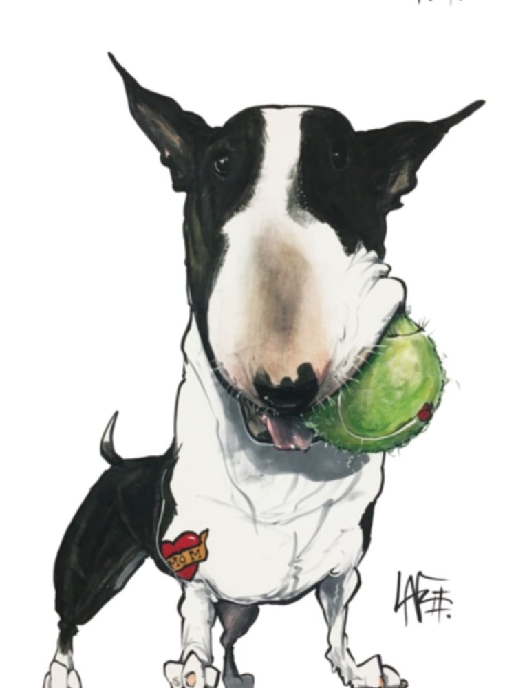 Бультерьер на скейте