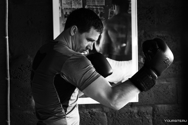 Бойцовская собака боксер