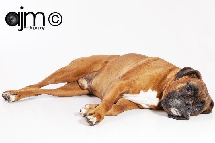 Константин Цзю