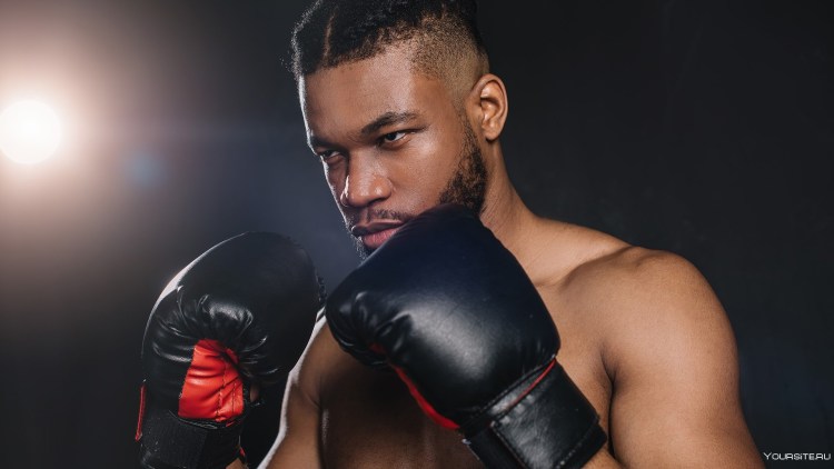 Кане Корсо и боксер