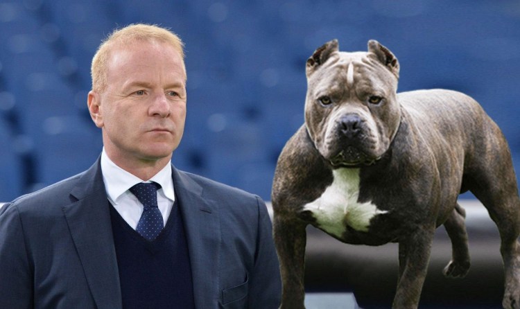 Фото питбуля на черном фоне на цепи с человеком