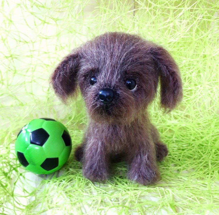 Тошка Тотошка