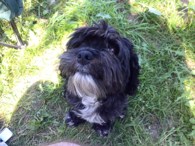 Зулроче Тотошка