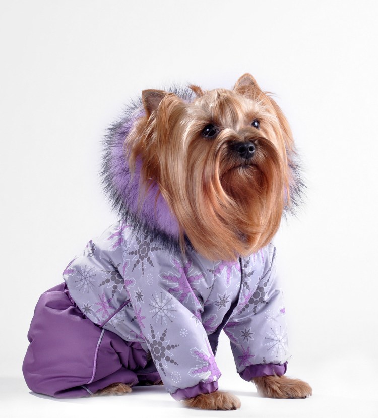 Зимний комбинезон для Йорка девочки