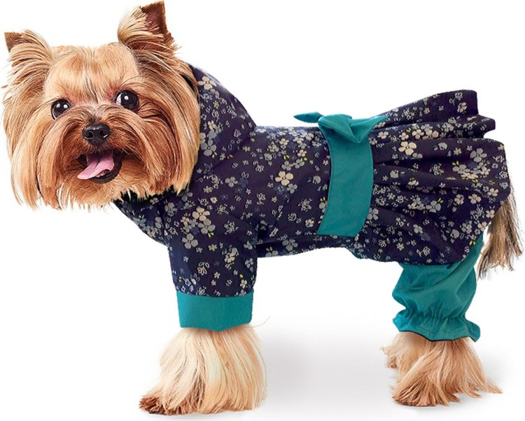 Дождевик для собак кокетка Зоотренд