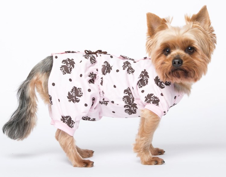 Комбинезон для собак Yoriki