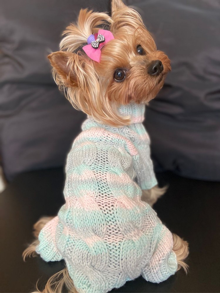 Вязаная одежда для йорков