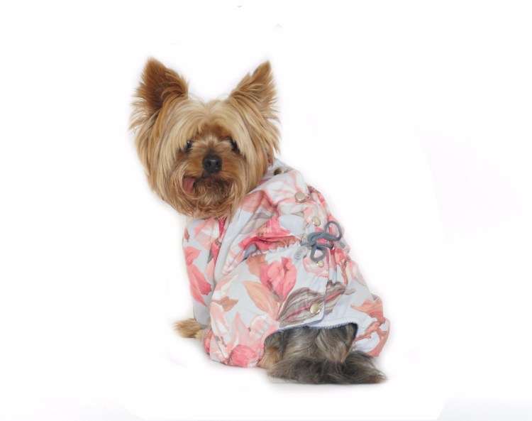 Йорики одежда для собак