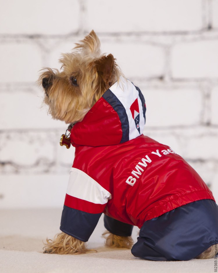 Зимняя одежда для собак