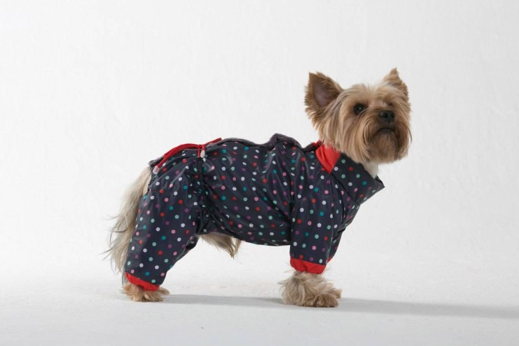 Комбинезон ЗМ Йоркширский терьер утепл