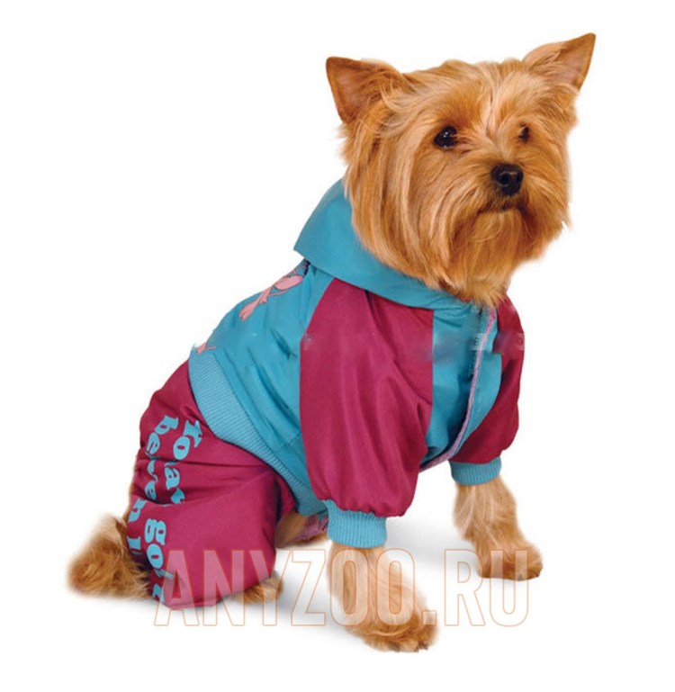 Одежда Триол для собак Дисней