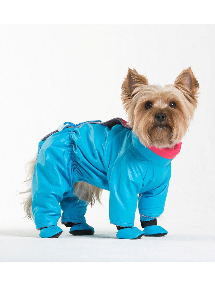 Ringo комбез для собак