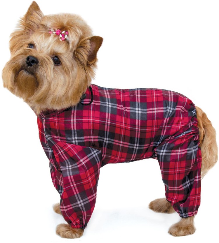 Дождевик для Йорка