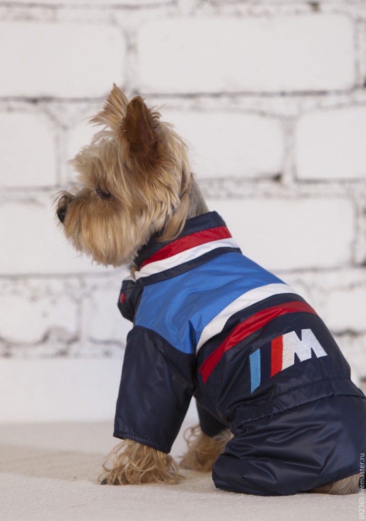 Ringo комбинезон для собак