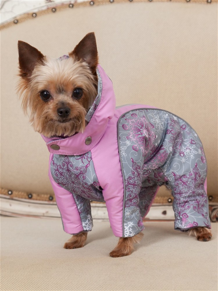 Lucky Dog комбинезон