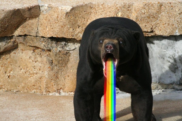 Размытая собака Мем