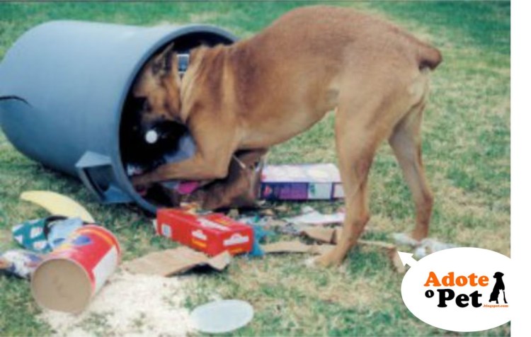 Старые мемы