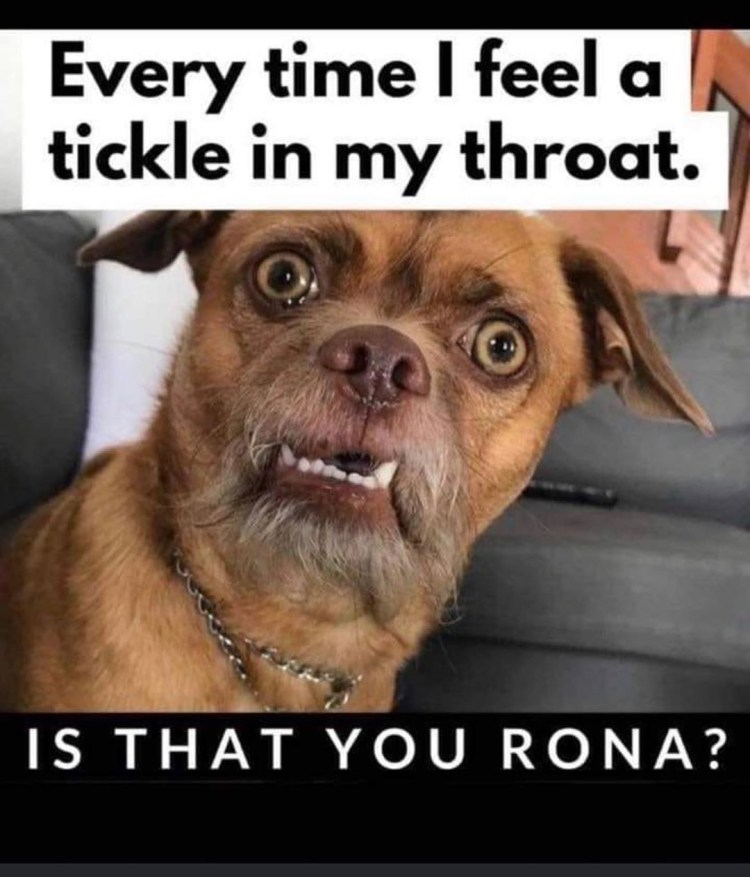 Прикольные морды