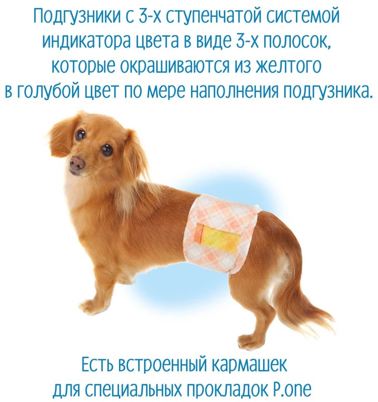 Подгузники для собак Japan Premium Pet PMO-706