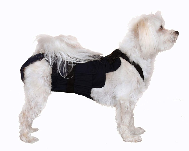 23631 Памперс для собак