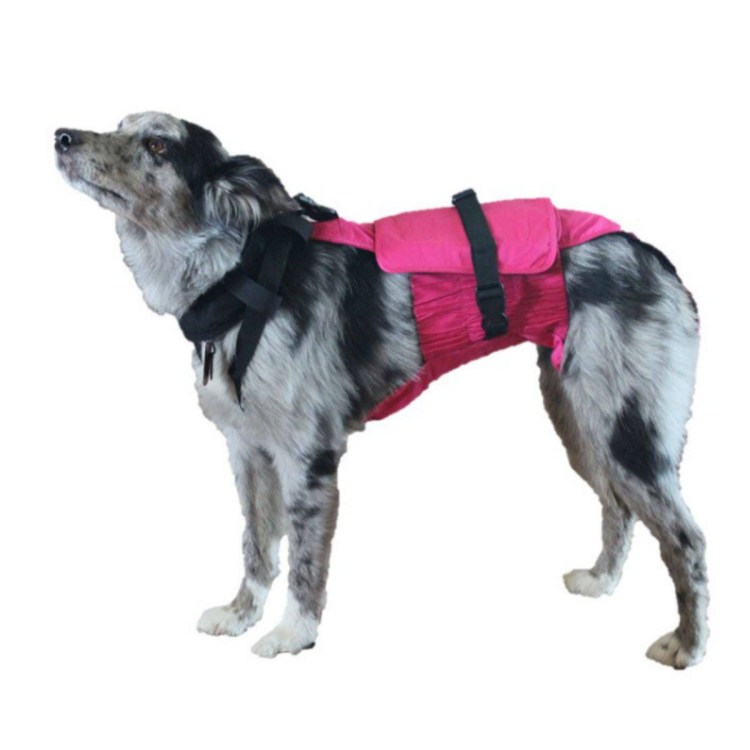 Памперсы для собак мелких пород