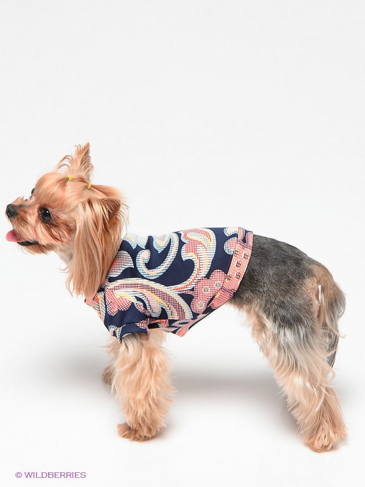 Мягкая вязаная одежда для собак