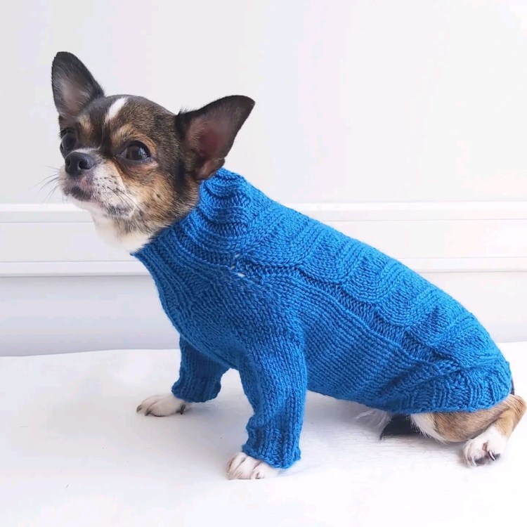 Свитер для собак