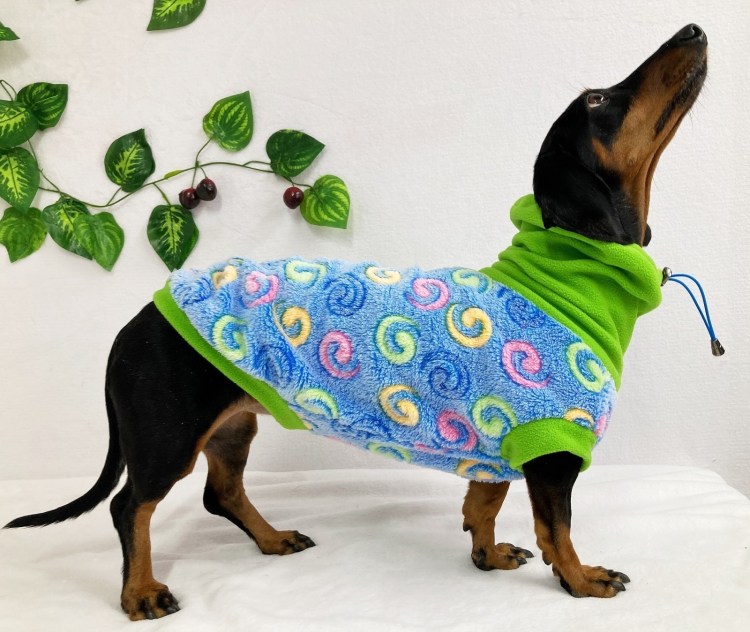 Свитер для собак