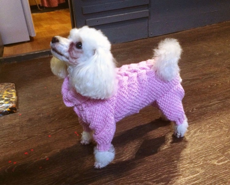 Свитер для собак