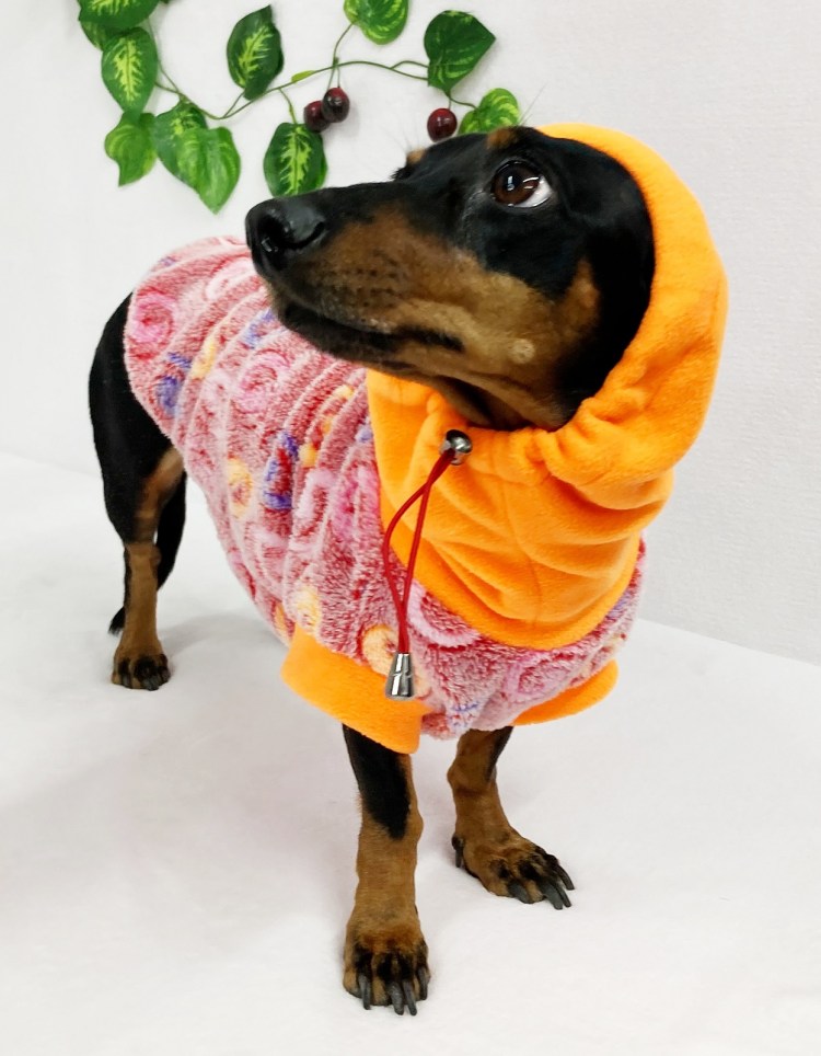 Свитер ок СП цами для чизуа