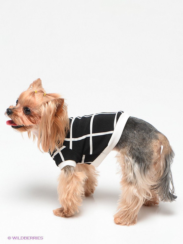 Свитер для собак