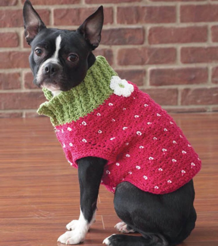 Вязаная одежда для собак