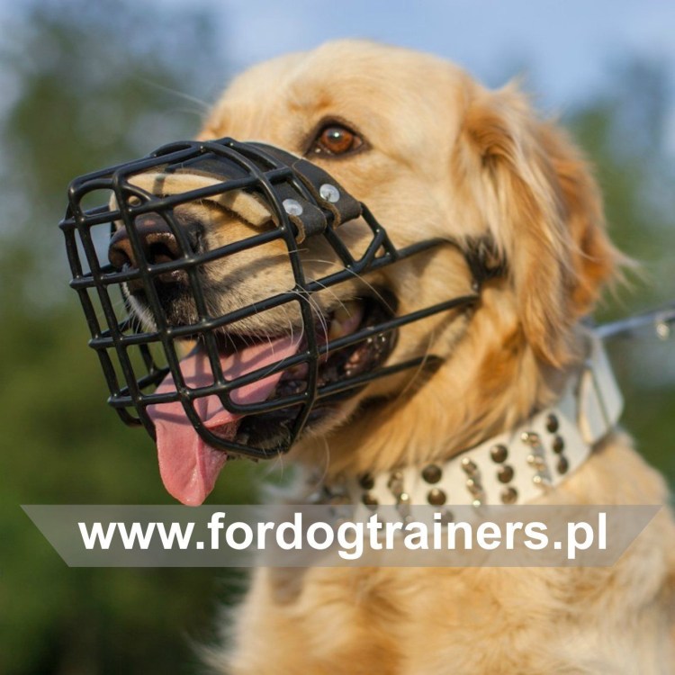 Намордник Gappay лабрадор