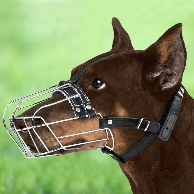 Gappay намордник