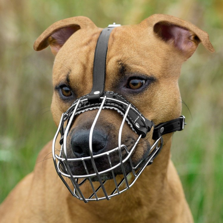 Намордник Gappay немецкая овчарка