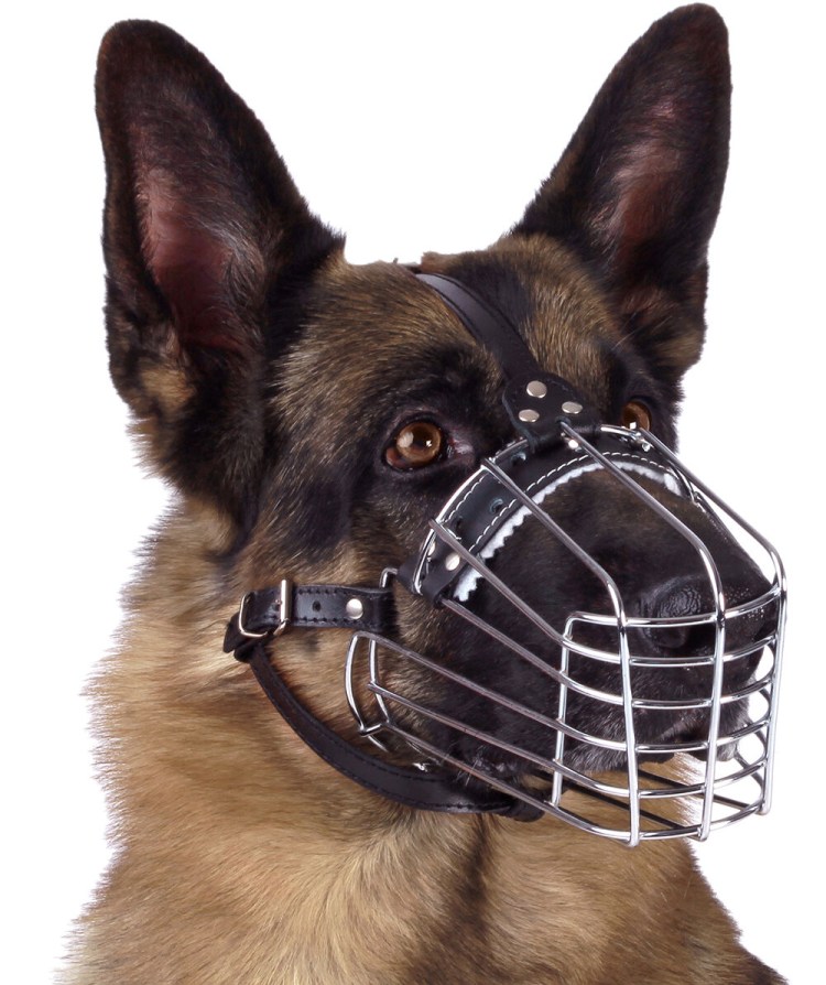 Намордники Julius-к9