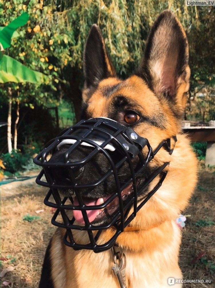 Намордник Гаппай для немецкой овчарки