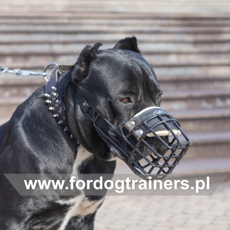 Намордник Баскервиль