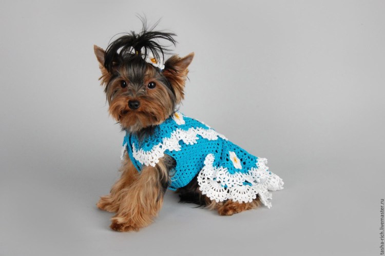 Вязаная одежда для Ерков