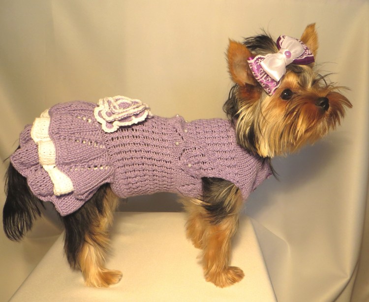 Платье для собаки спицами