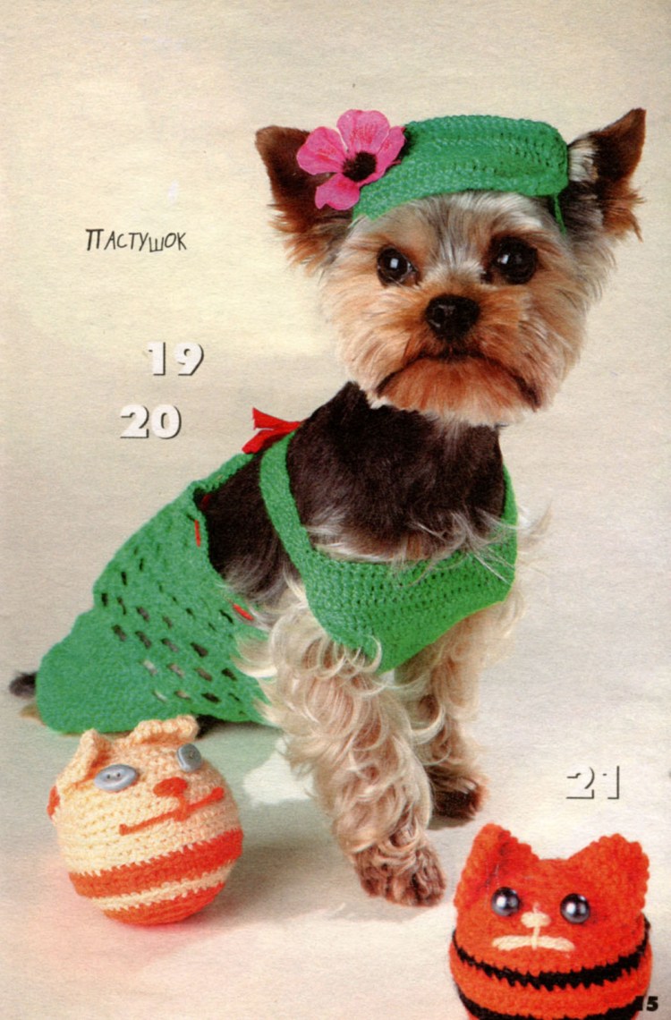 Летние шапочки для чихуахуа