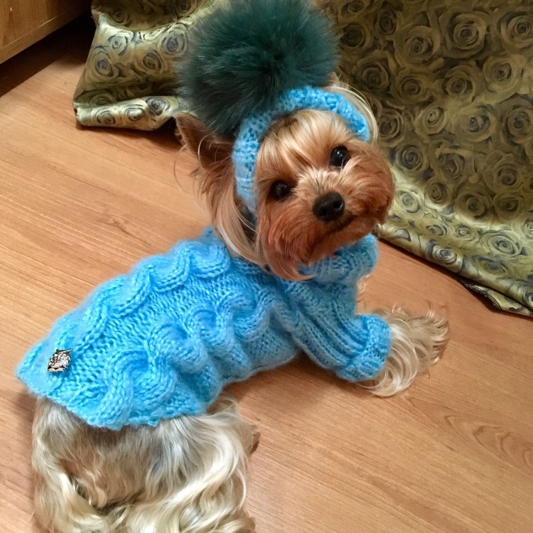 Одежда для маленьких собачек