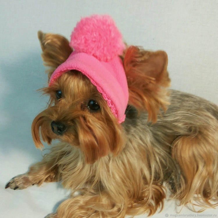 Шапка для Йорка