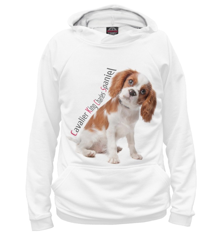 Королевский чарлиспаниэль