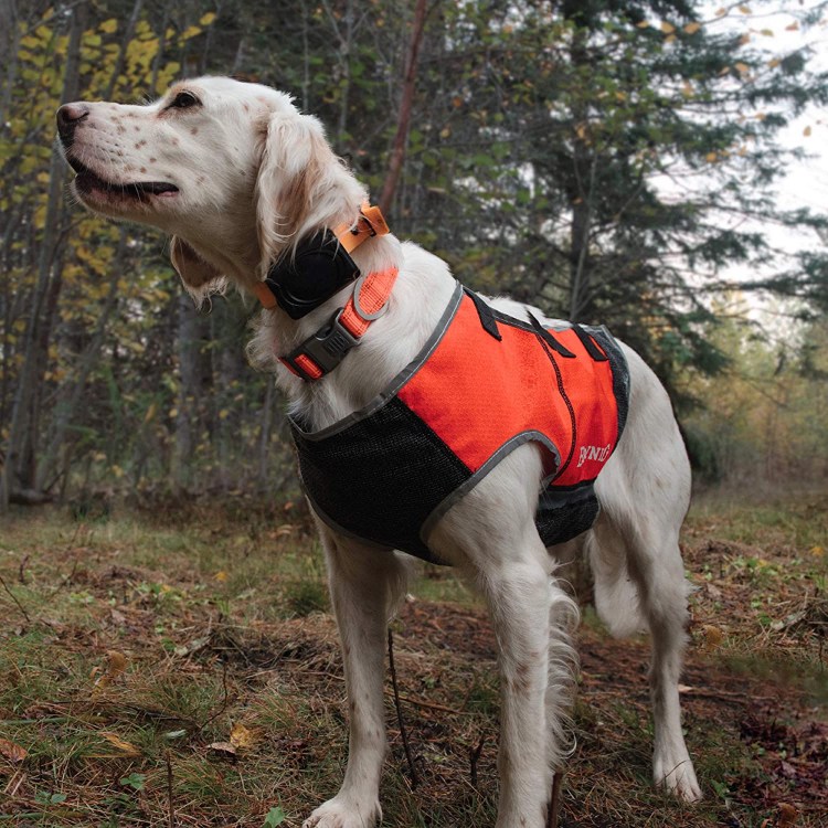 Browning Dog Protection Vest Dog Hunting Vest,