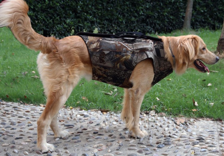 Собачьи жилеты для охоты