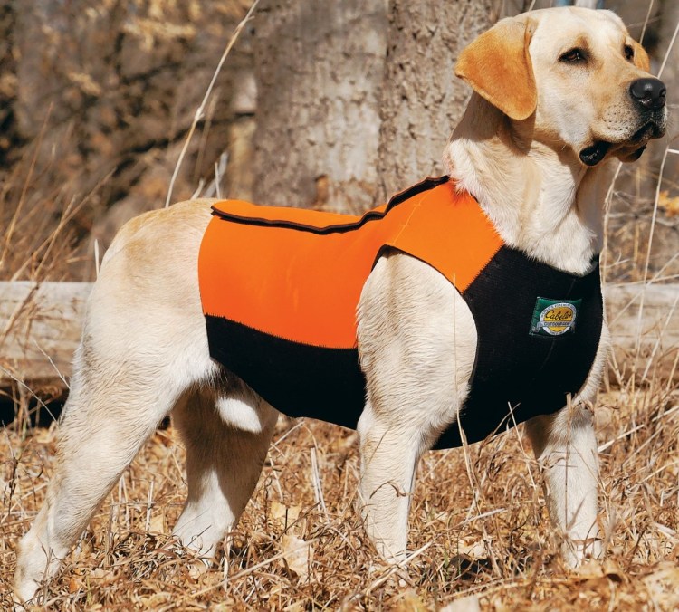 Одежда для охотничьих собак