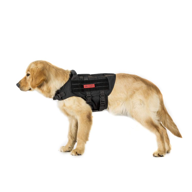 Бронежилет для собак