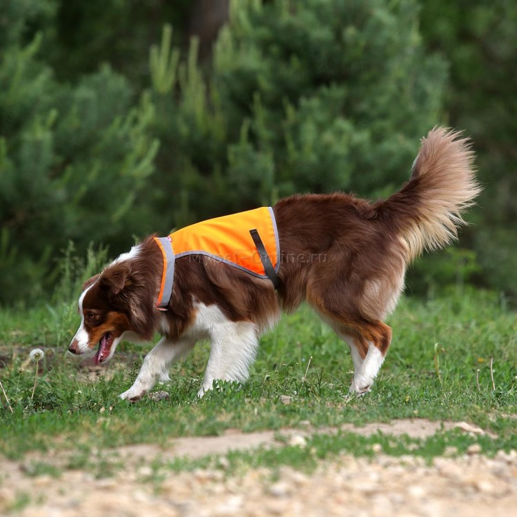 Жилет для собак Osso Fashion сигнальный 70